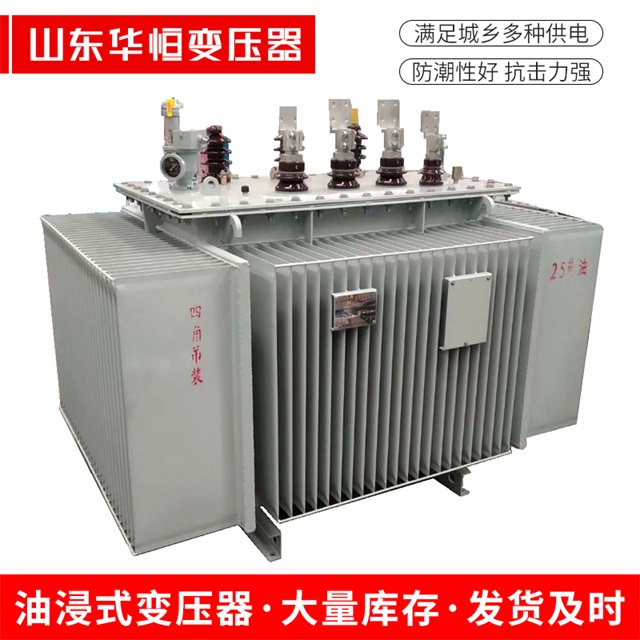 S13-10000/35肇州肇州肇州电力变压器厂家