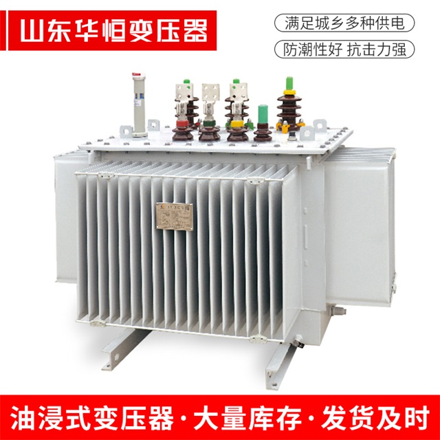 S13-10000/35肇州肇州肇州电力变压器